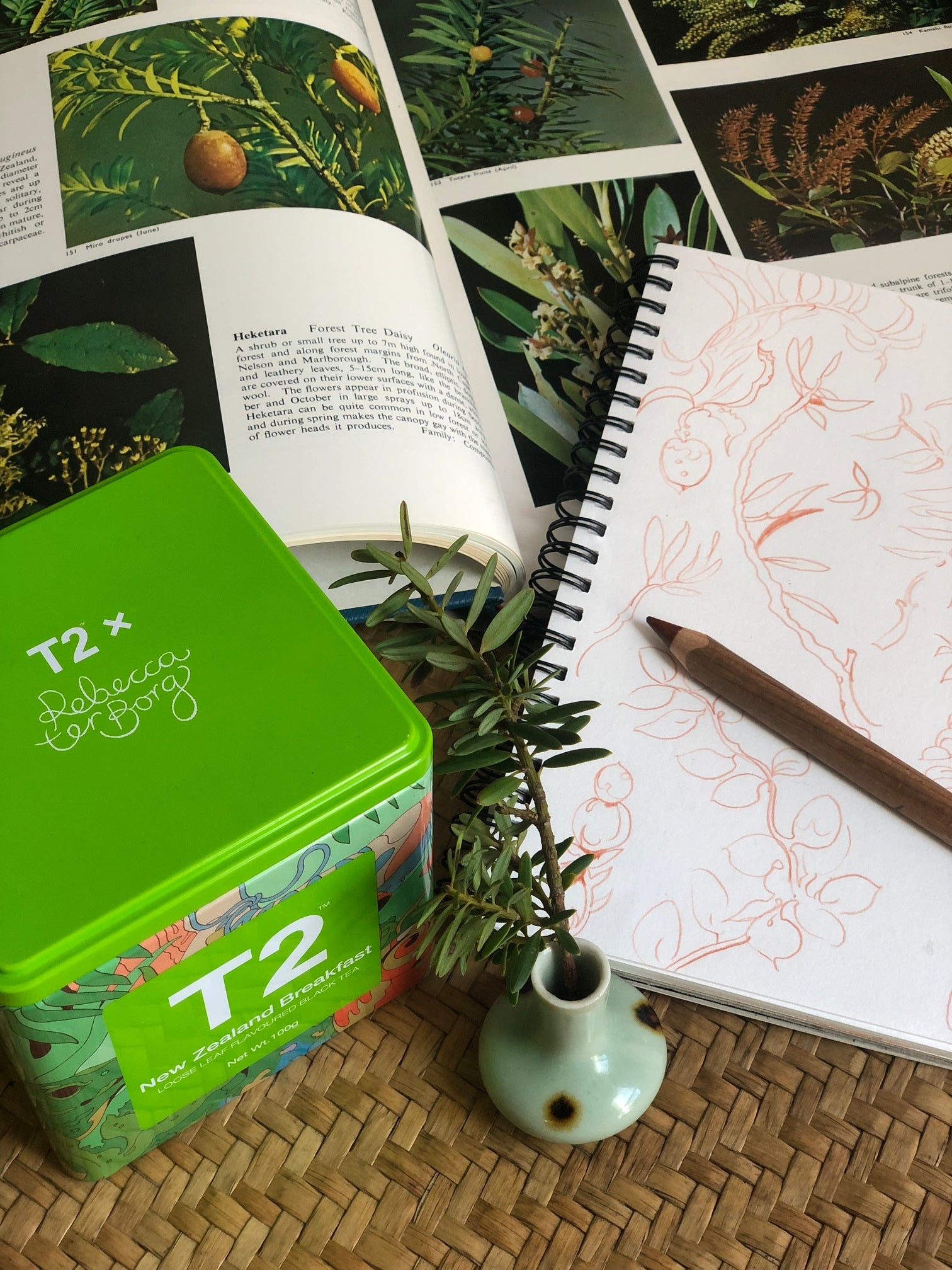 Meet Rebecca Ter Borg - Artist Behind Our Limited Edition New Zealand Breakfast Breakfast Tea Set