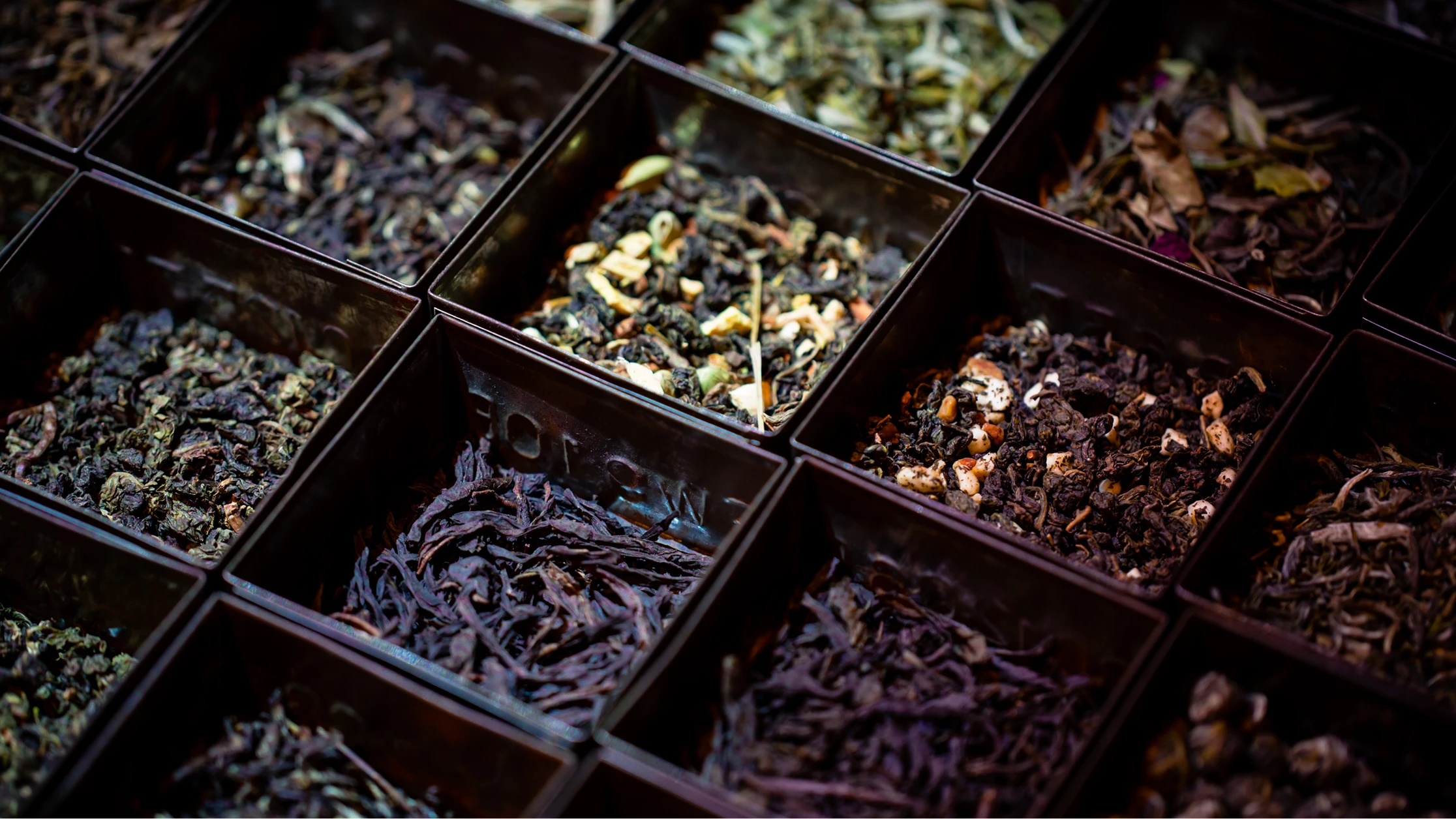 The Language of Tea: The Definitive T2 Glossary T2 Tea