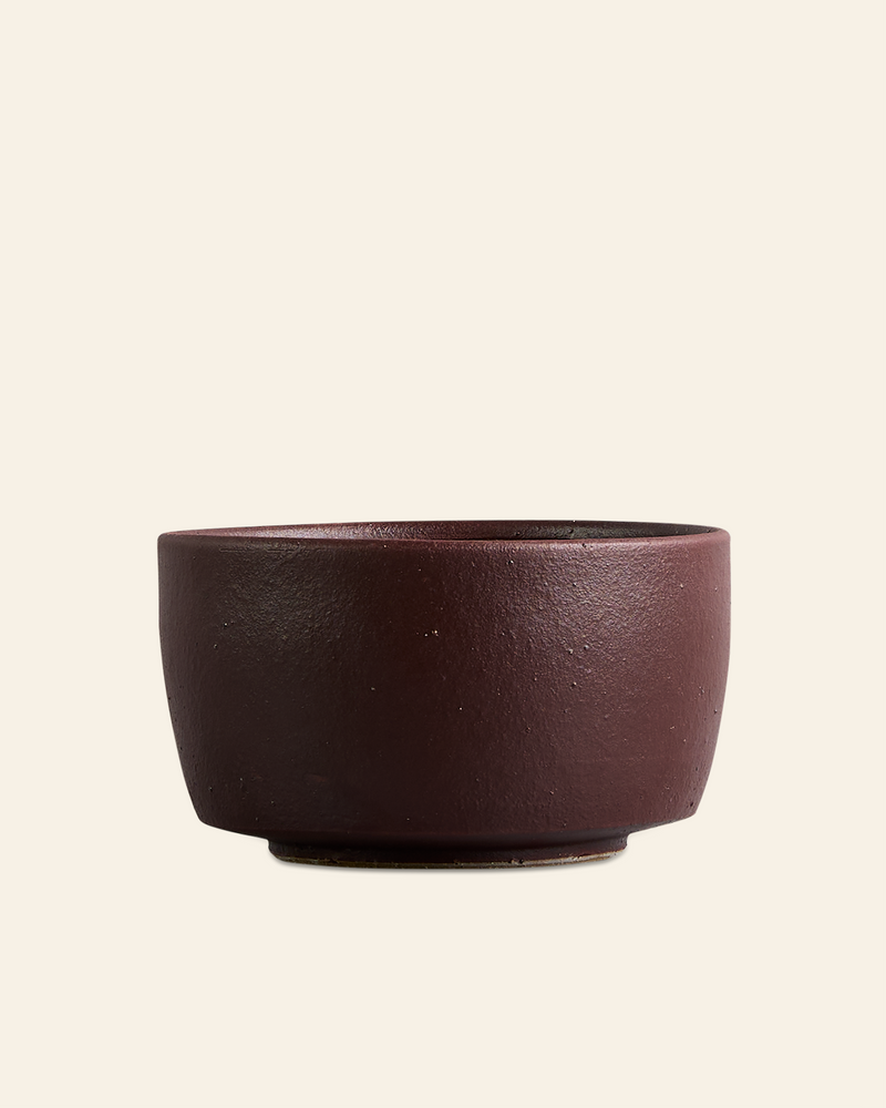 T2 X Soca Matcha Bowl Kalamata