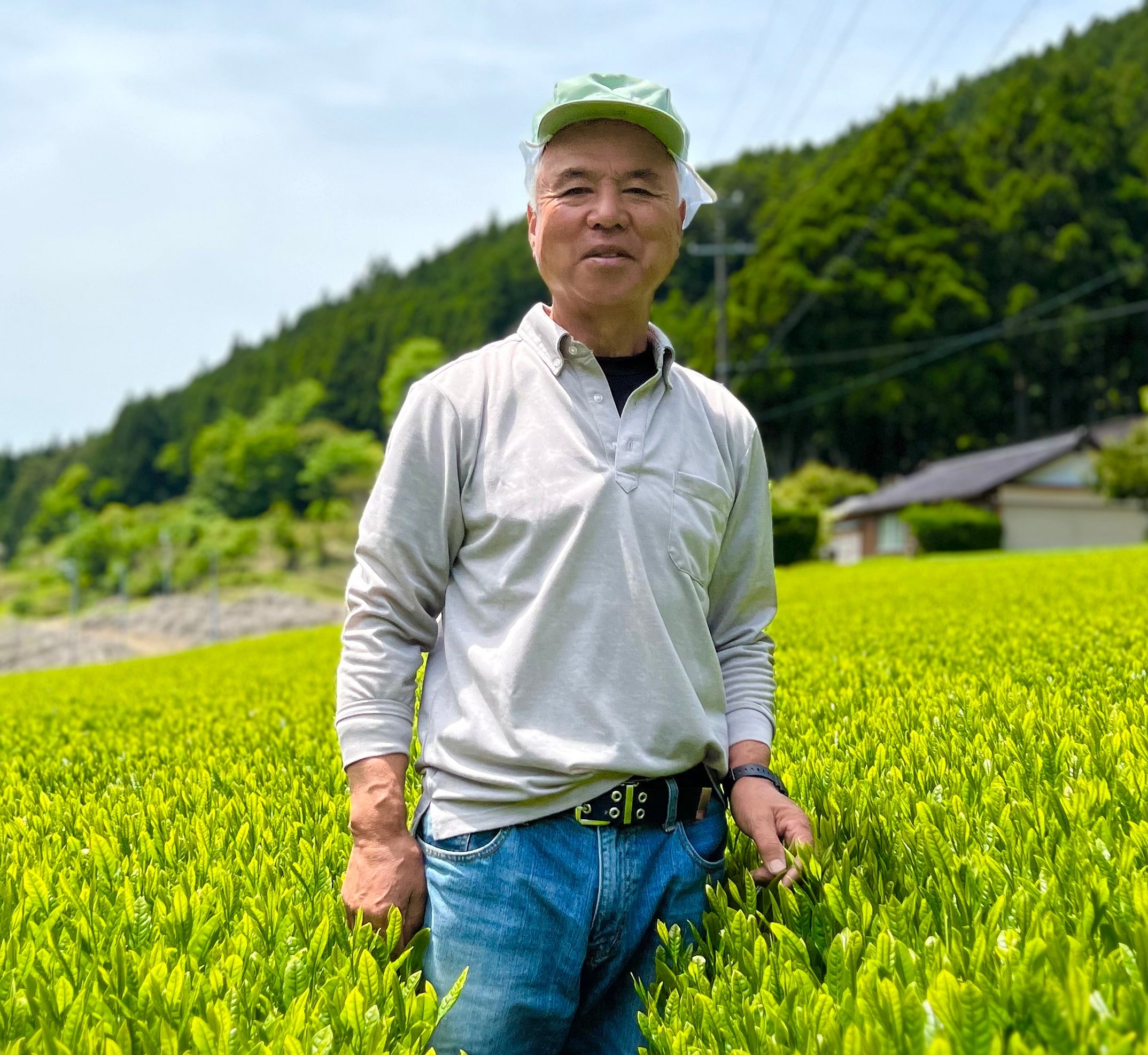 RIE お茶セット 粉茶×2 サプリ×2 Chosen by experts: A chat with a Tea Master – T2 Tea