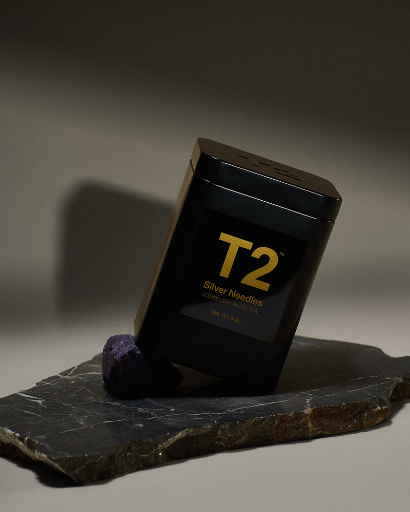 Product Image for SKU T100AI016