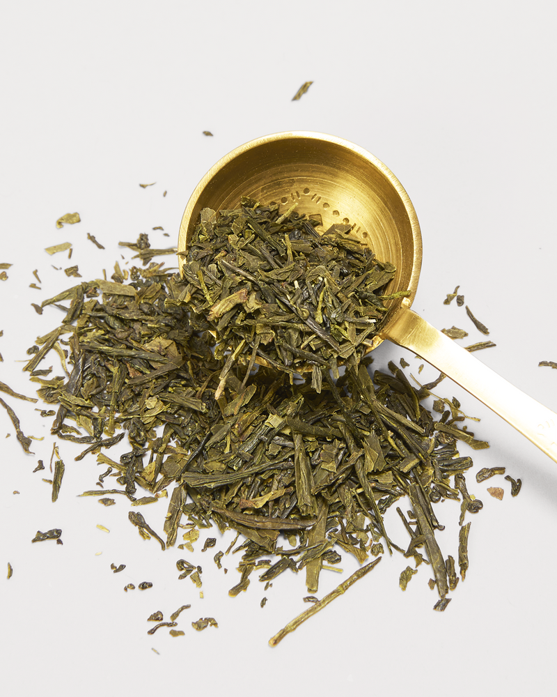 Product Image for SKU T110AE013