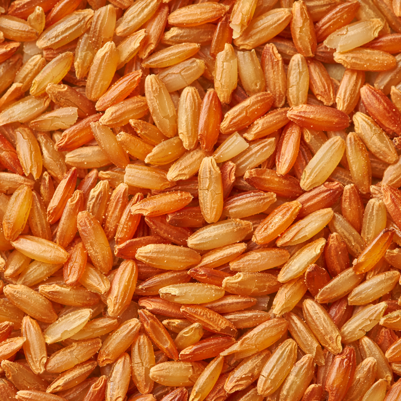 Japanese Gen Mai Cha Sencha Loose Leaf Cube 100g