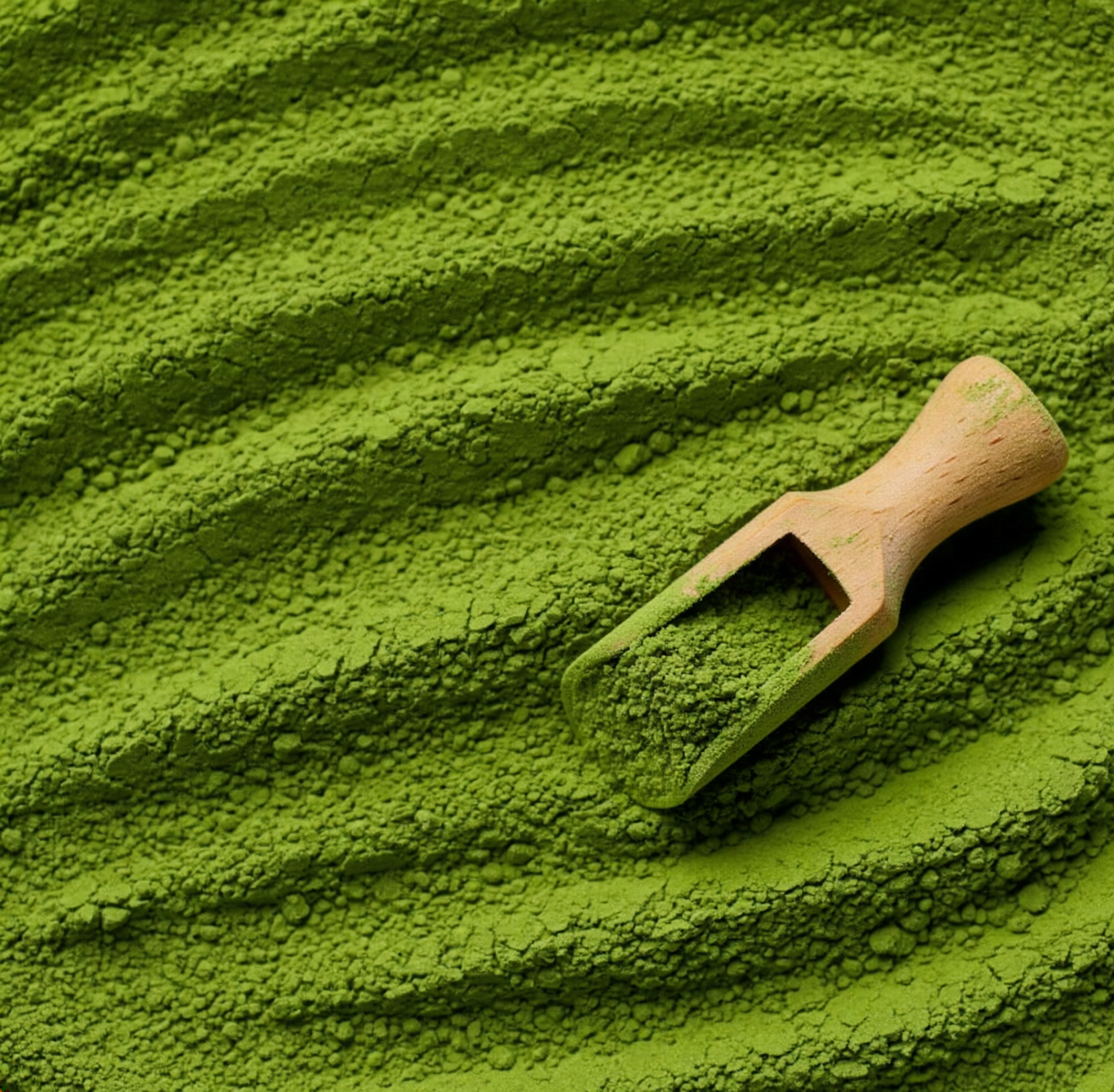 Matcha Powder Tin 50g