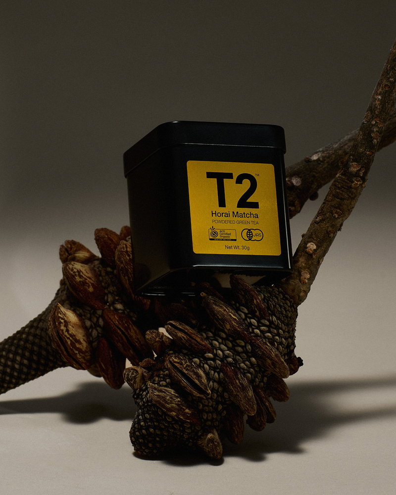 Product Image for SKU T110AI041