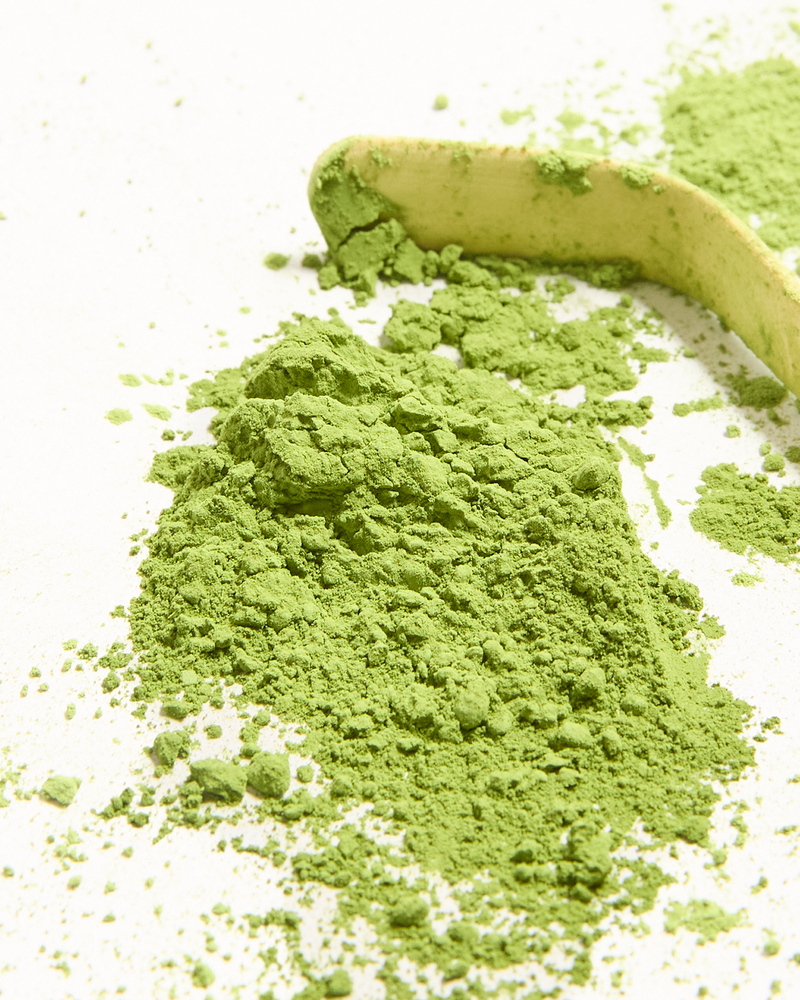 Product Image for SKU T110AI041