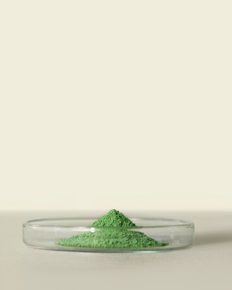 Matchaeologist Matsu Tin 20g