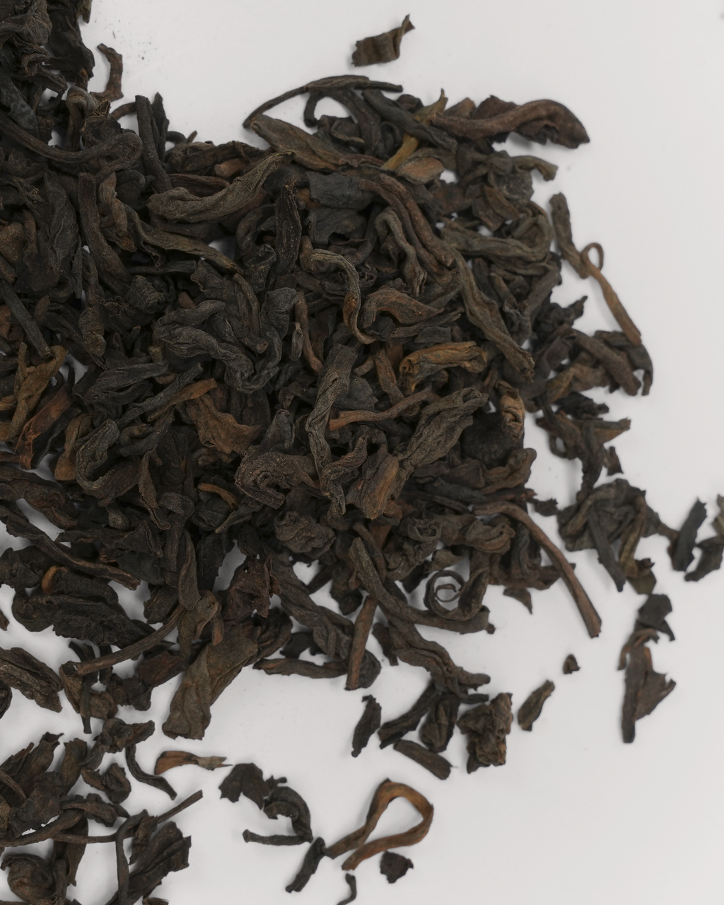 Product Image for SKU T120AE019