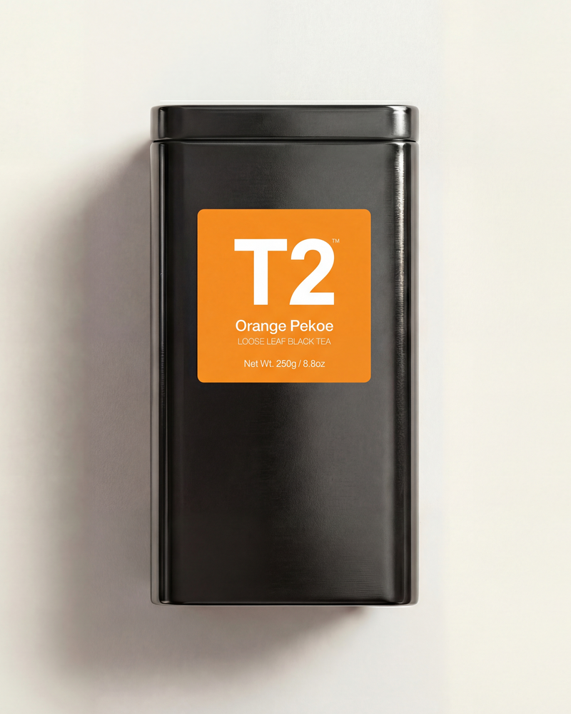 Product Image for SKU T120AI045