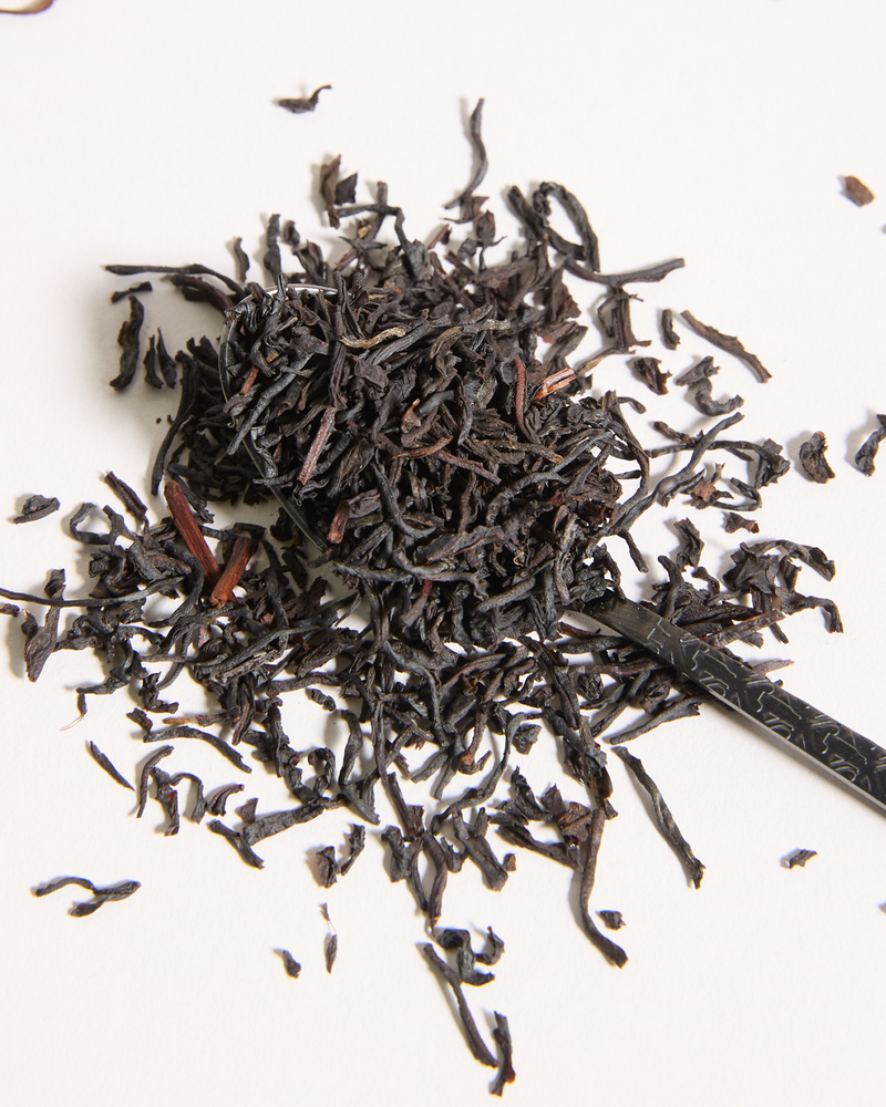 Product Image for SKU T125AE021