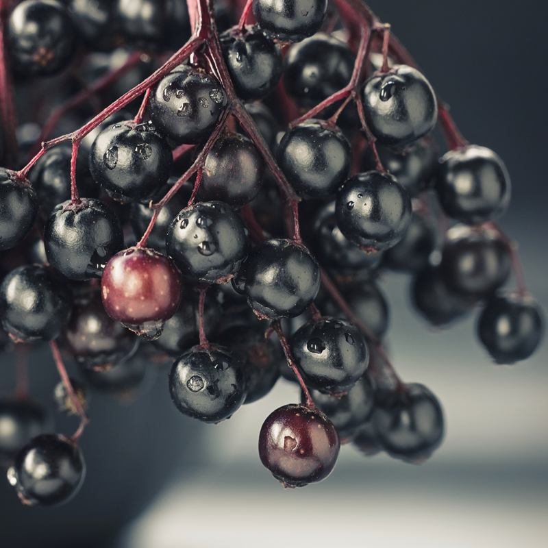 Very Berry Fruitea Loose Leaf Cube 100g