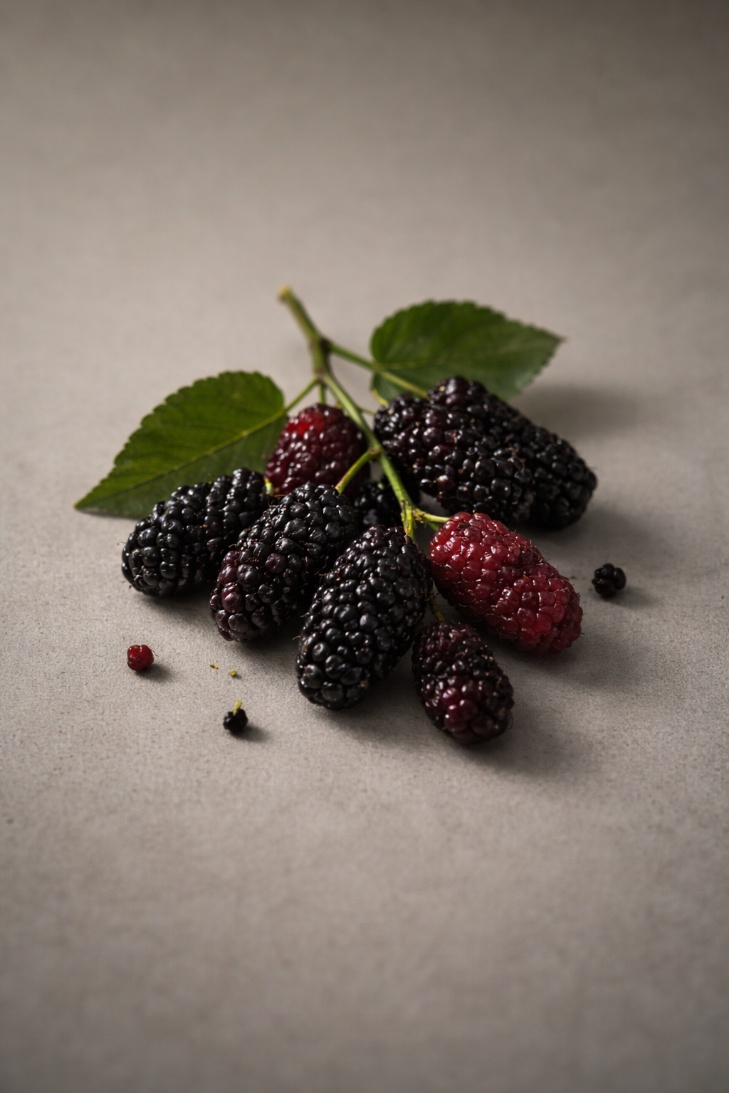 Mulberry Ripple Loose Leaf Cube 75g