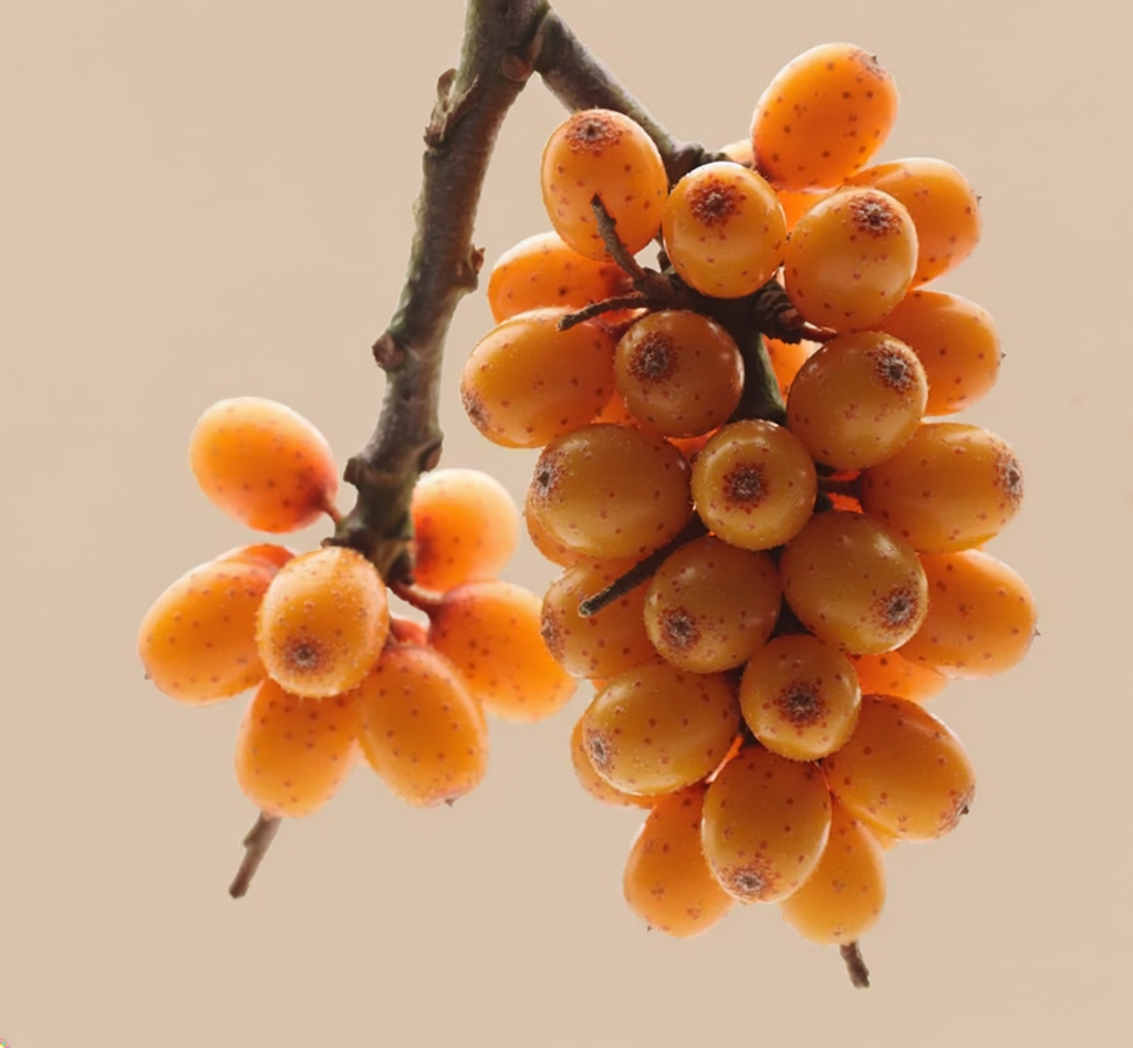 Spa Day Loose Leaf Tin 100g