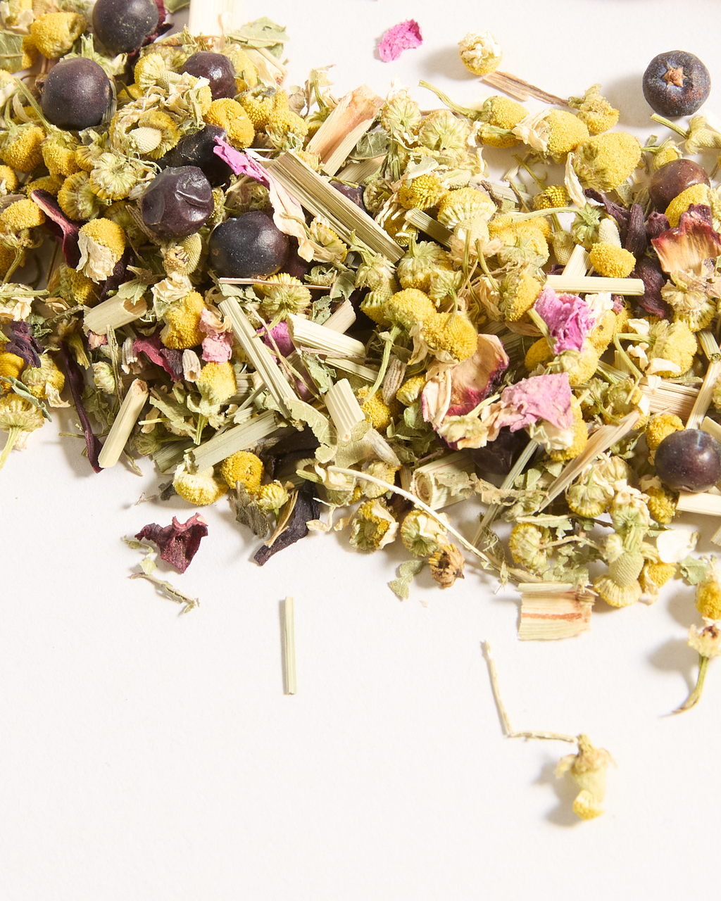 Product Image for SKU T140AE025