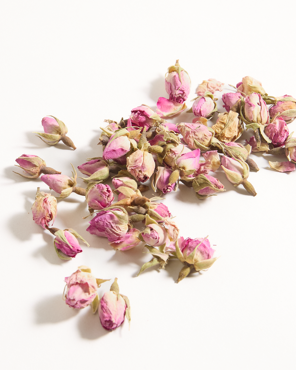 Product Image for SKU T140AE026