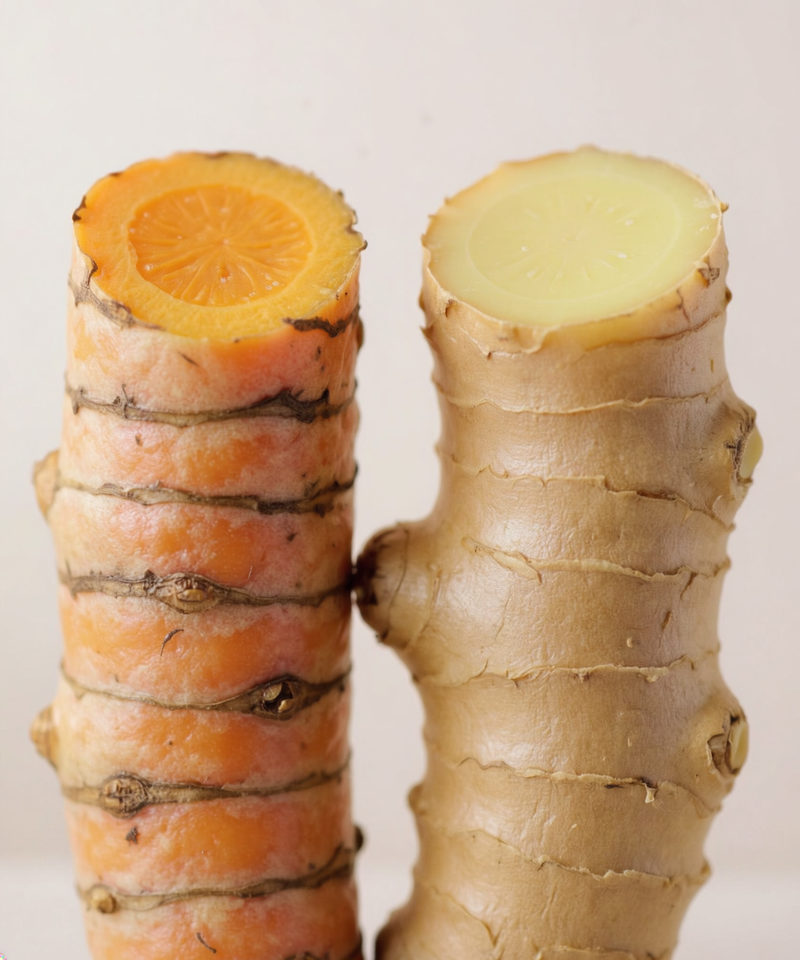 Turmeric Ginger Ninja Loose Leaf Cube 100g