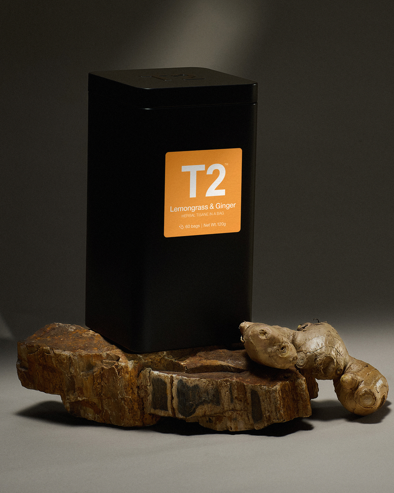 Product Image for SKU T140AI031