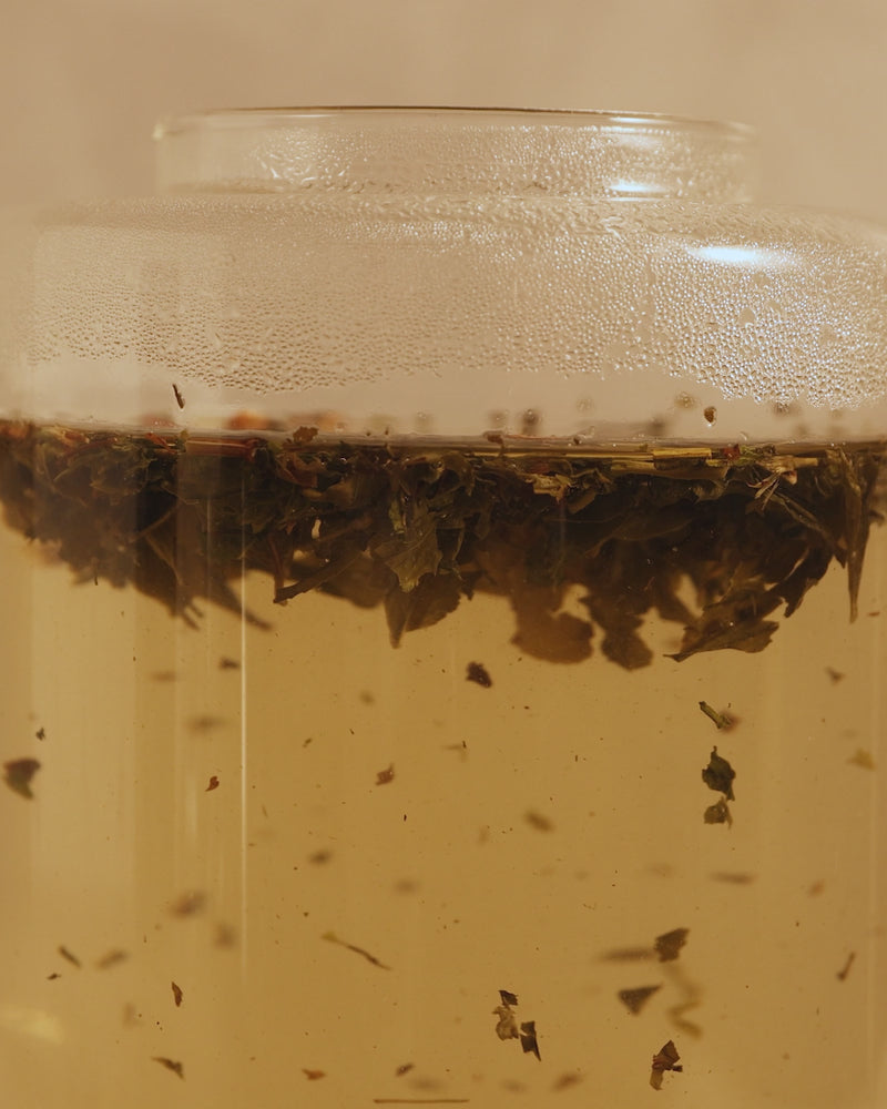No Filter Loose Leaf Cube 75g