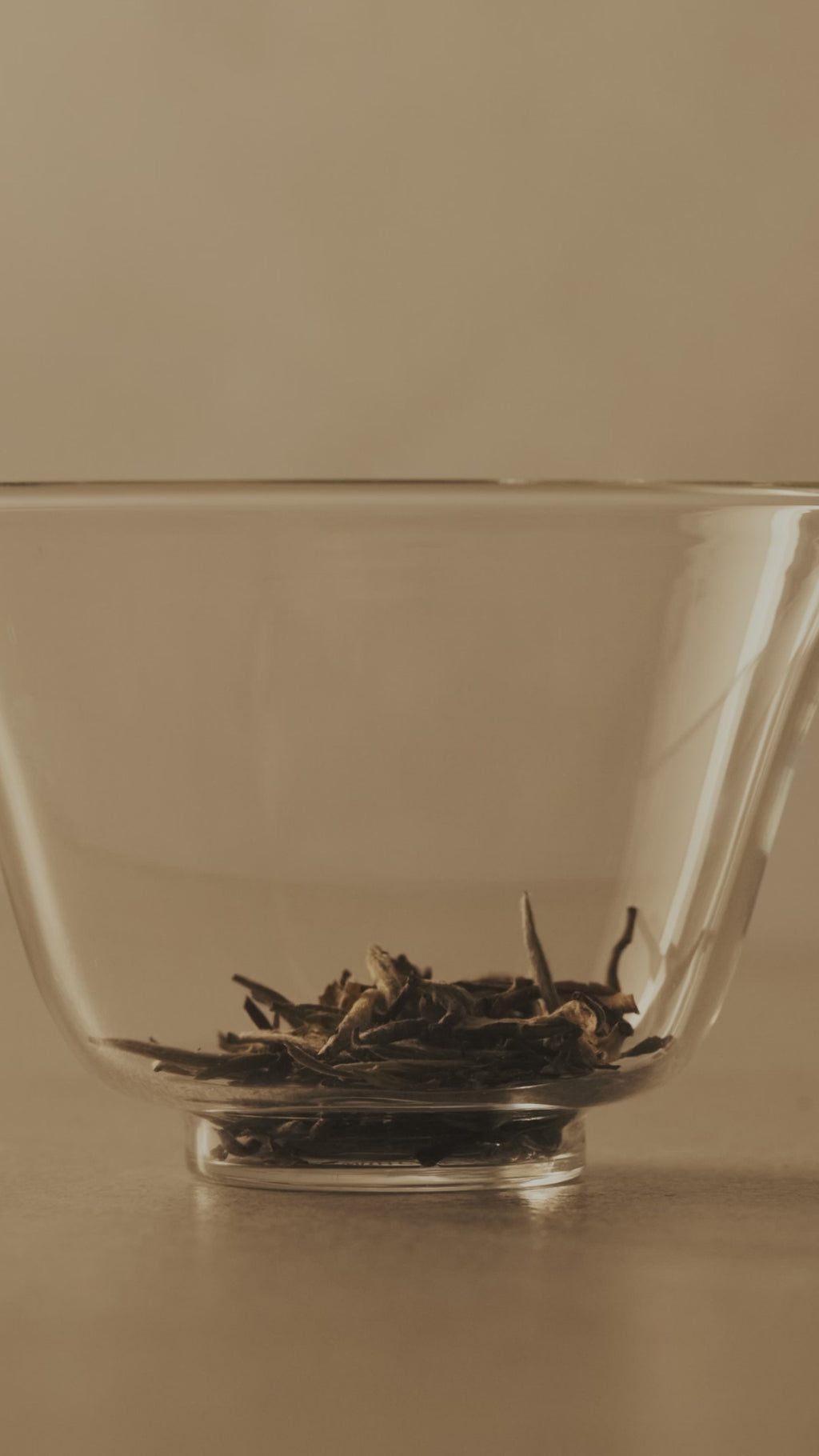 Everyday Gaiwan Beige