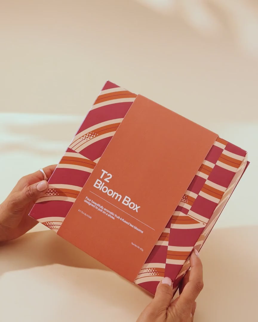 Bloom Box 4 Pack Gift Pack