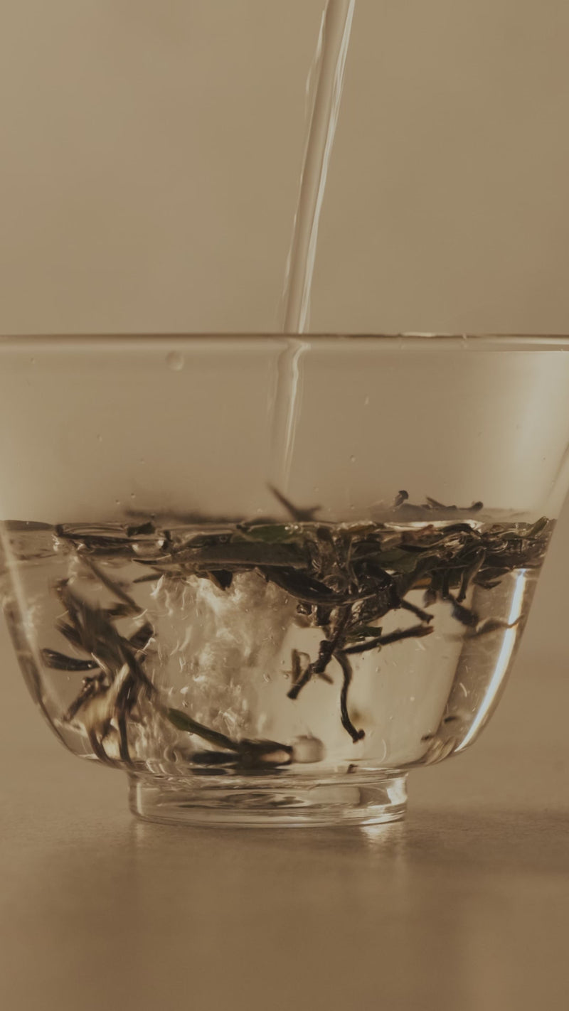 Silver Needles Loose Leaf Tin 50g