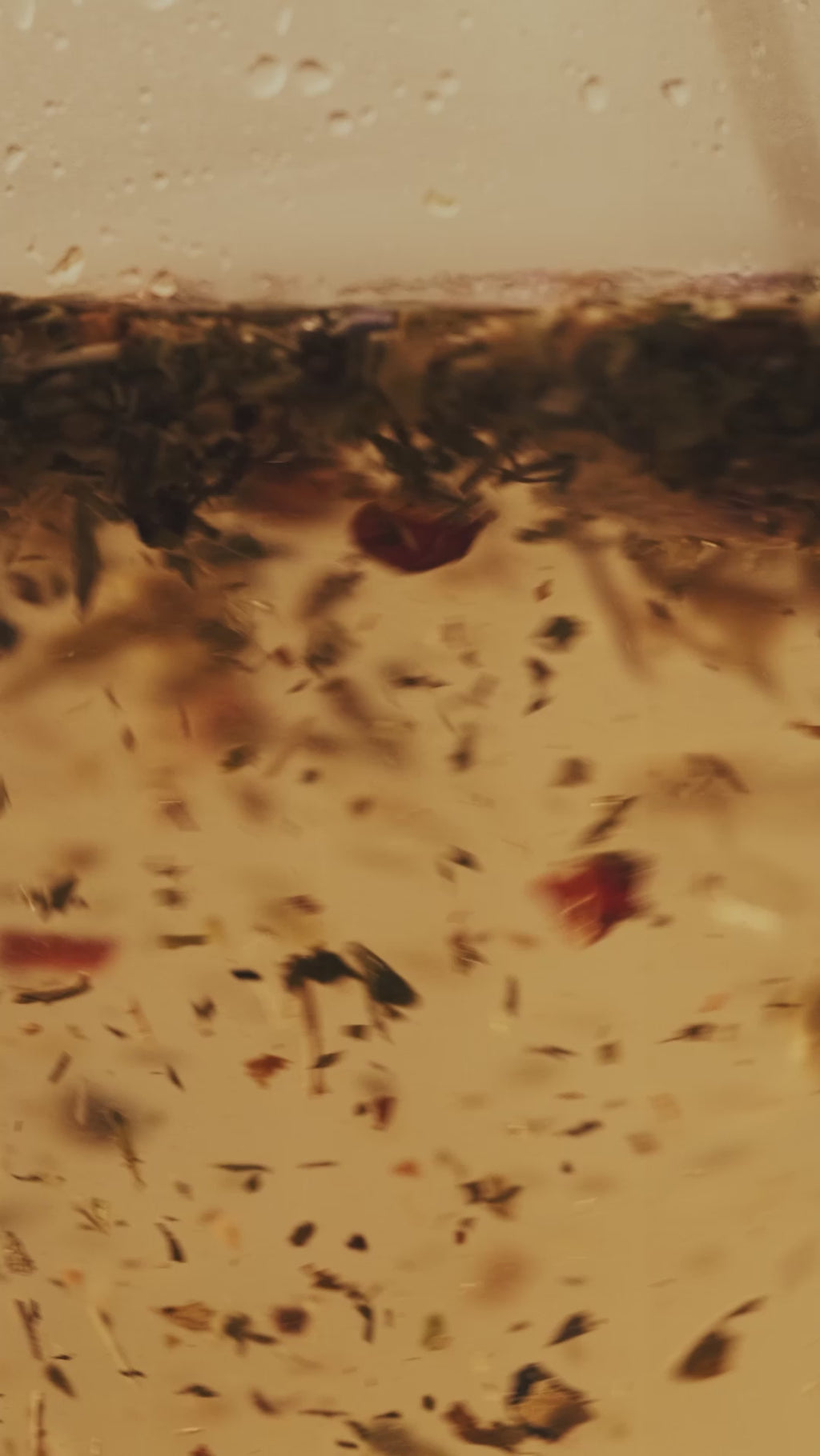 T2 X Robert Gordon - The Ritualist: Herbal Loose Leaf Gift Pack