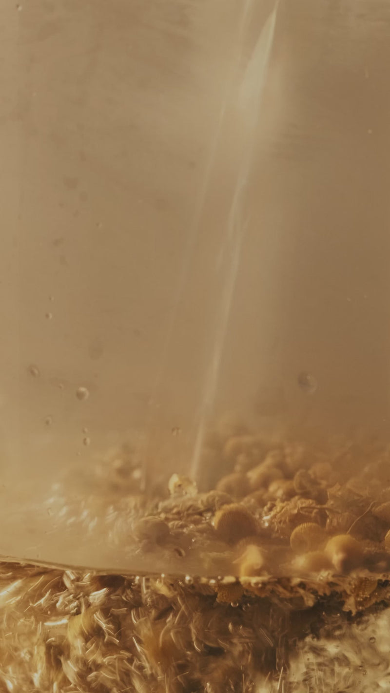 Hammered Clear Double Wall Glass