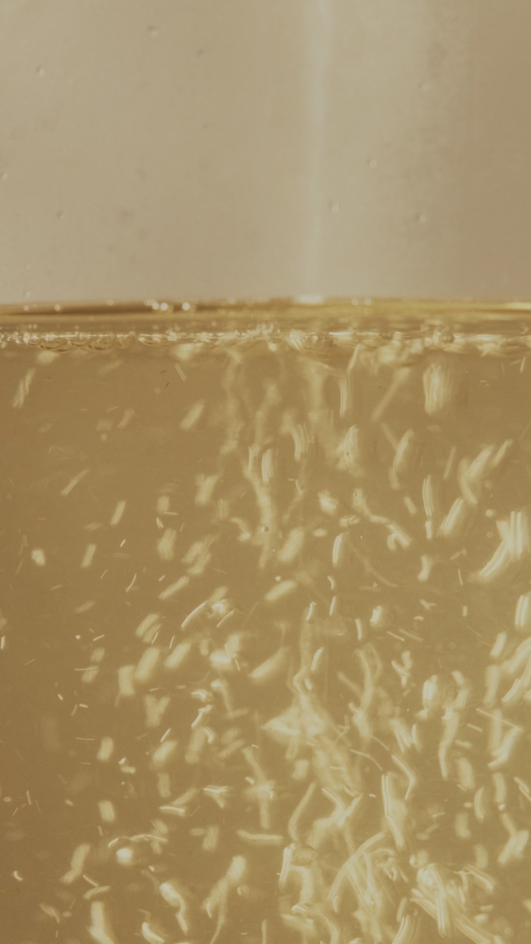 Lemongrass and Ginger Loose Leaf Refill 250g