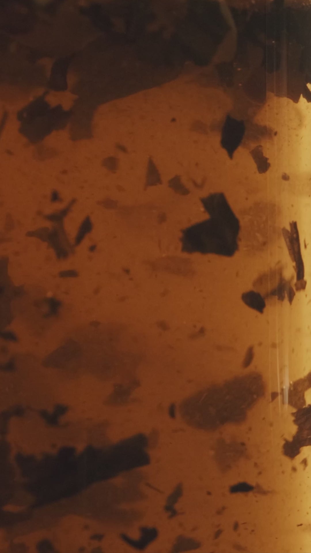 Singapore Breakfast Tea Bag Icon Tin 25 pack