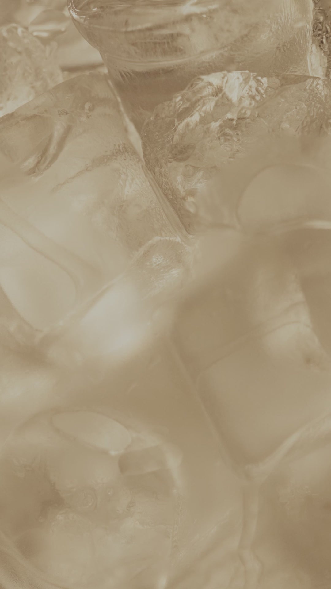 Fruitalicious Loose Leaf Cube 100g