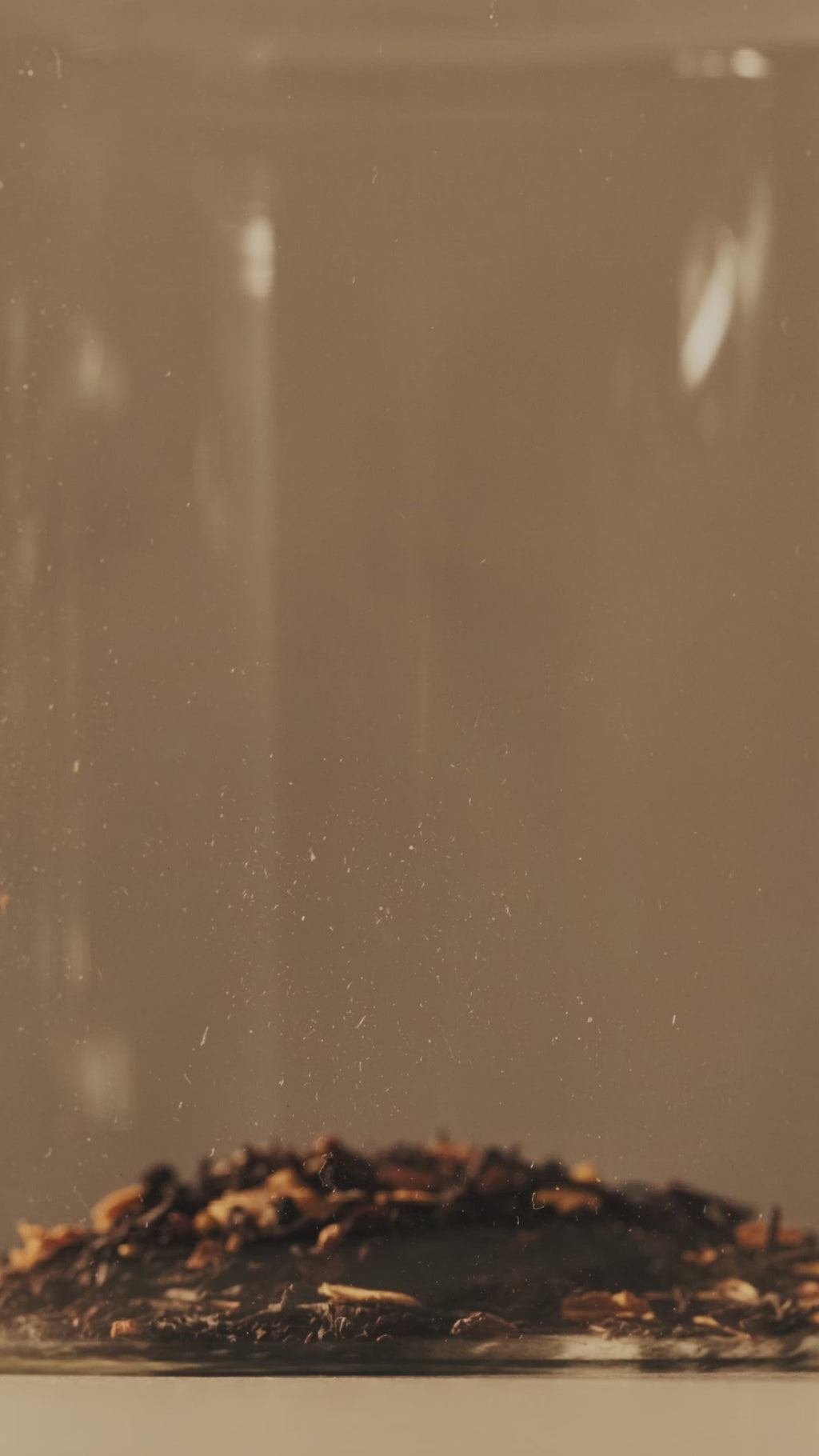 Down Under Wonders Loose Leaf Gift Pack